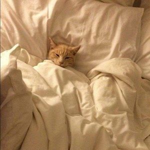 Thank you for shopping!